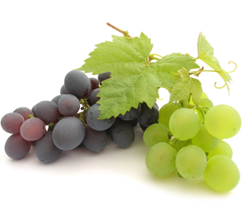 Resveratrol Longevity